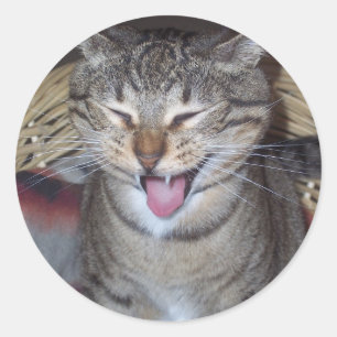 Diablo Kitty Classic Round Sticker