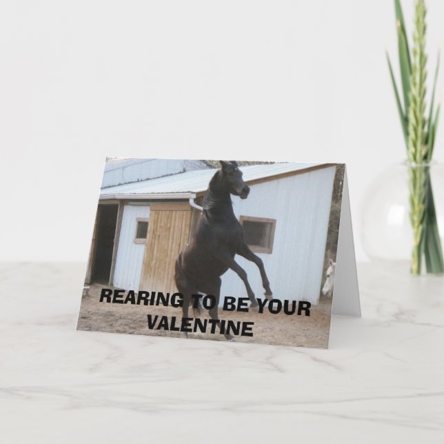 DIADHEMS DREAM, REARING TO BE YOUR VALENTINE HOLIDAY CARD (Front)