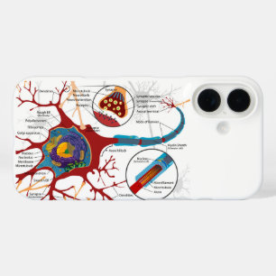 Diagram Complete Neuron Cell Nerve Nervous System  iPhone 16 Case