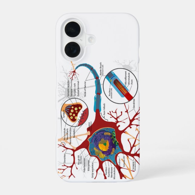 Diagram Complete Neuron Cell Nerve Nervous System  iPhone 16 Case (Back)