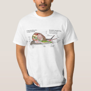 Diagram of a Common Garden Snail (Helix aspersa) T-Shirt