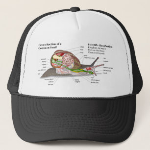 Diagram of a Common Garden Snail (Helix aspersa) Trucker Hat