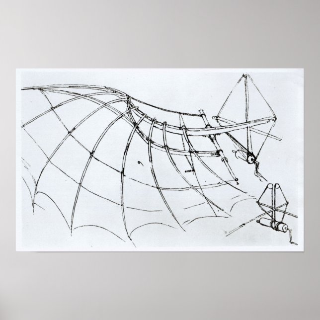 Diagram of a mechanical wing poster (Front)