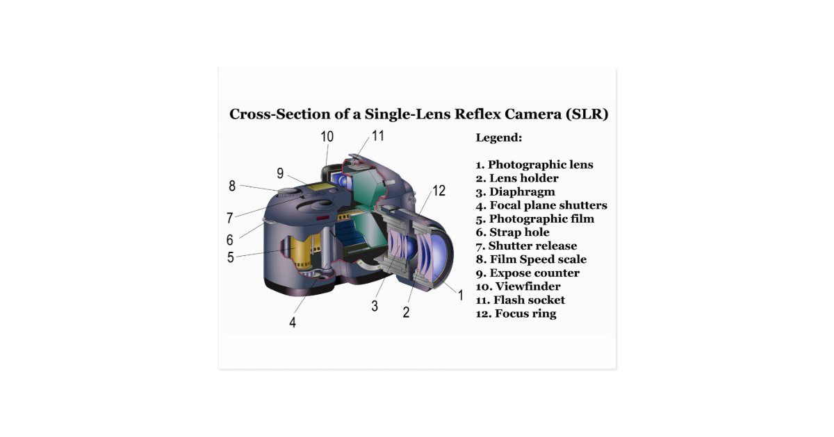Diagram of a Single Lens Reflex Camera SLR Postcard | Zazzle.co.uk