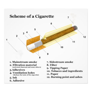 Diagram of a Tobacco Cigarette Smoking Photo Print