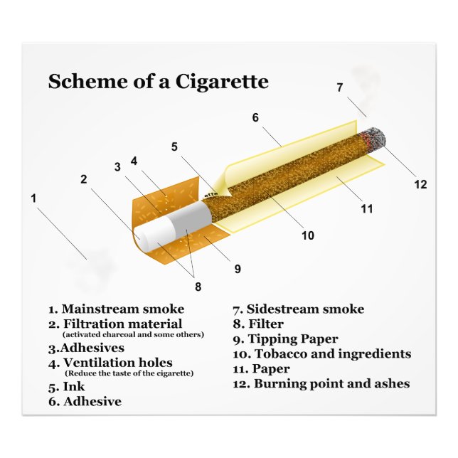 Diagram of a Tobacco Cigarette Smoking Photo Print (Front)