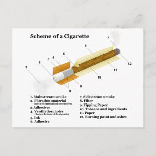 Diagram of a Tobacco Cigarette Smoking Postcard