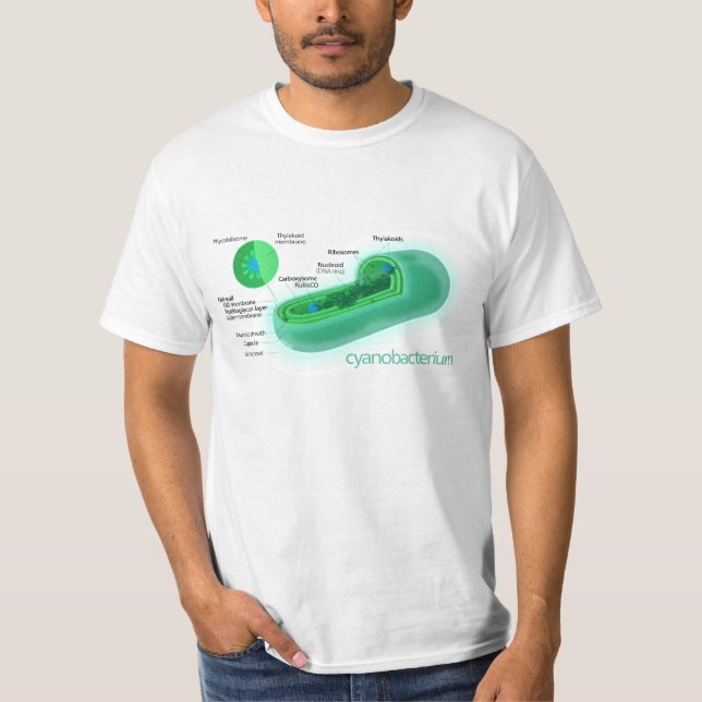 Diagram of a Typical Cyanobacteria Cell T-Shirt (Front)