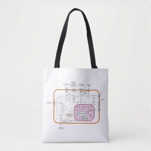 Diagram of Cell Gene Signal Transduction Pathways Tote Bag