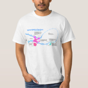 Diagram of gene transcription factors T-Shirt