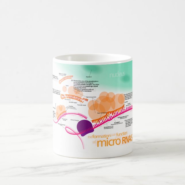 Diagram of microRNA Coffee Mug (Center)