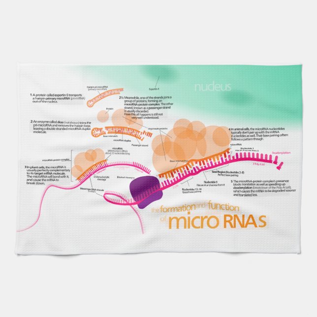 Diagram of microRNA Tea Towel (Horizontal)
