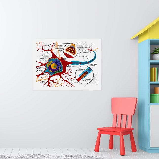 The Algra Fitnus Collection Of Professional Fitness Wall Chart Posters – Sports Poster Warehouse