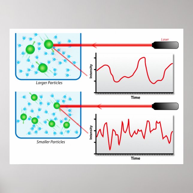Diagram of the Dynamic Light Scattering in Physics Poster (Front)