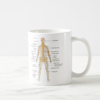 Diagram of the Human Body's Nervous System Coffee Mug