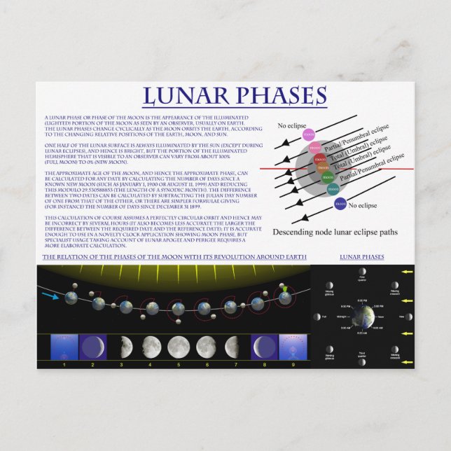 Diagram of the Lunar Phases of Earth's Moon Postcard (Front)