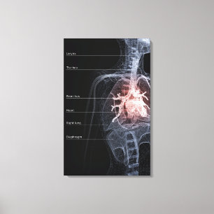 Diagram of the respiratory system and the heart canvas print