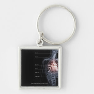 Diagram of the respiratory system and the heart key ring