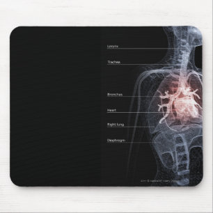 Diagram of the respiratory system and the heart mouse mat