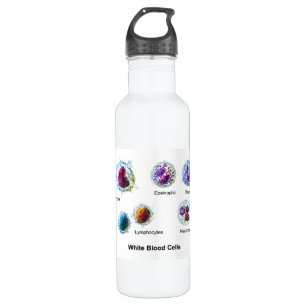 Diagram of White Blood Cells Leukocytes 710 Ml Water Bottle