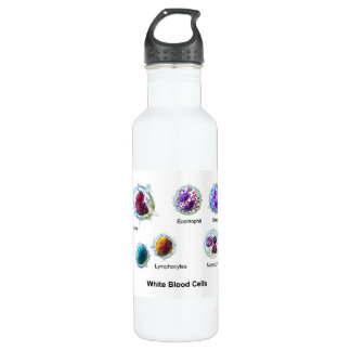 Diagram of White Blood Cells Leukocytes 710 Ml Water Bottle