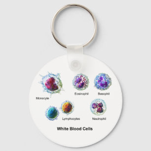 Diagram of White Blood Cells Leukocytes Key Ring