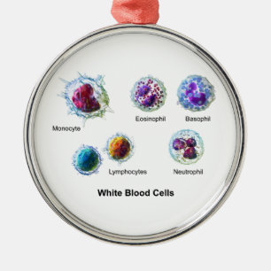Diagram of White Blood Cells Leukocytes Metal Tree Decoration