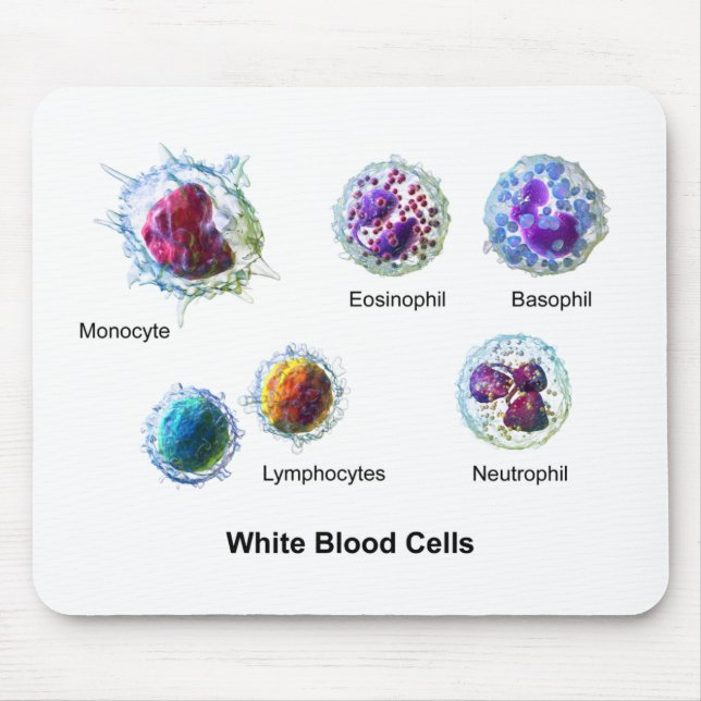 Diagram of White Blood Cells Leukocytes Mouse Mat (Front)