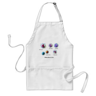 Diagram of White Blood Cells Leukocytes Standard Apron