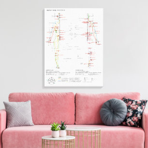 Diagram Schematic Chinese Meridians Human Body Canvas Print