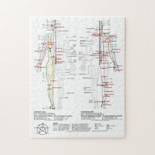 Diagram Schematic Chinese Meridians Human Body Jigsaw Puzzle