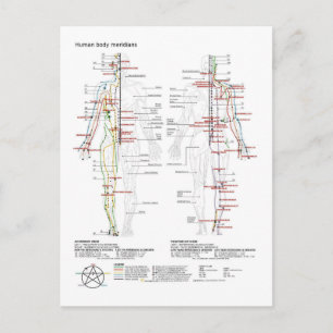 Diagram Schematic Chinese Meridians Human Body Postcard