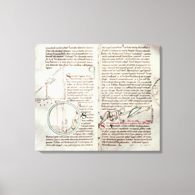 Diagrams of measurements and text (vellum) canvas print (Front)
