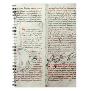 Diagrams of measurements and text (vellum) notebook