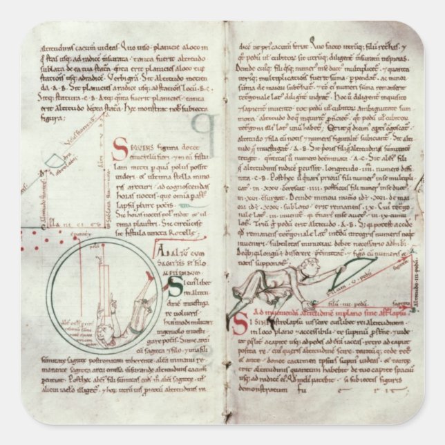 Diagrams of measurements and text (vellum) square sticker (Front)
