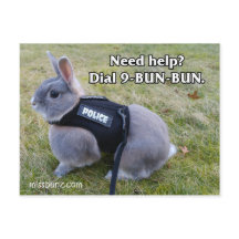 Dial 9 Bun Bun Postcard