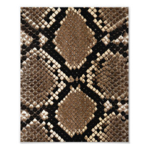 Diamond Back Rattlessnake Skin Photo Print