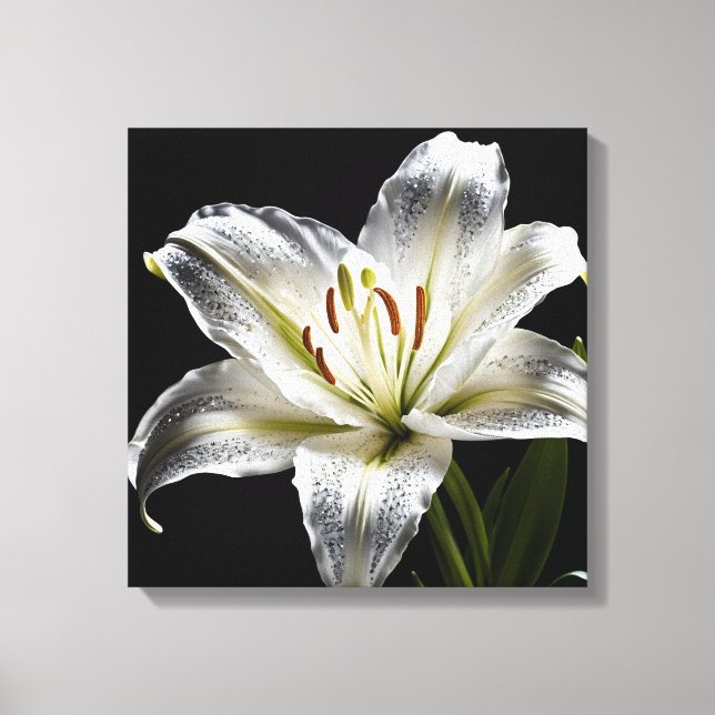 Diamond Dust Lily Canvas Print (Front)