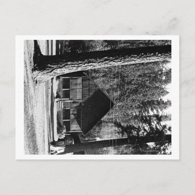 Diamond Lake, Oregon Cabin View Photograph Postcard (Front)