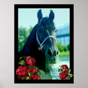 DIAMOND Portrait - Poster