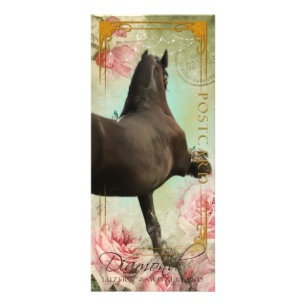 DIAMOND - Rackcard 3 / Postcard Rack Card