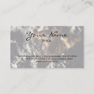 Diamond, Smoky Business Card