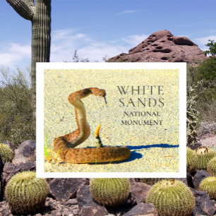 Diamondback Rattlesnake Standing White Sands Postcard
