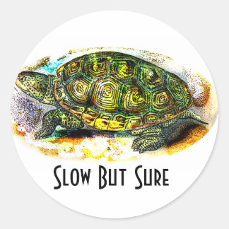 diamondback Terrapin Turtle from JungleWalk.Com Classic Round Sticker