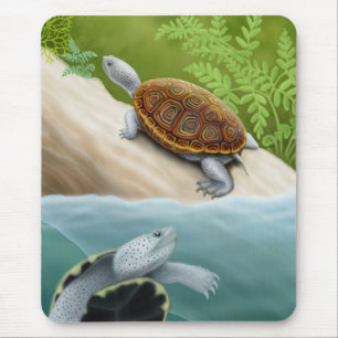 Diamondback Terrapin Turtles Mousepad