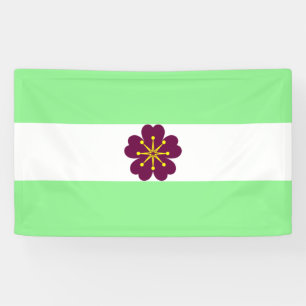 Diamoric Pride Banner