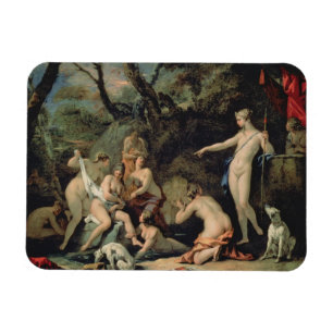 Diana and Callisto Magnet