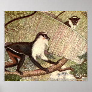 Diana Monkey by Louis Sargent, Vintage Wild Animal Poster