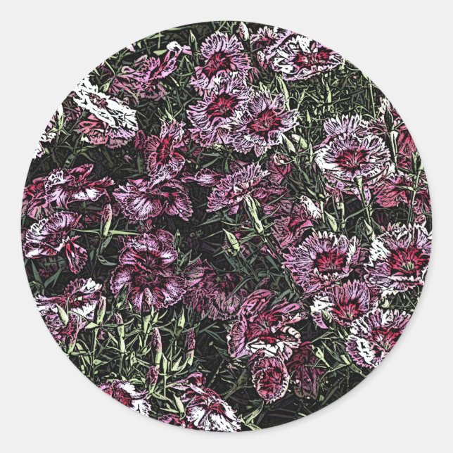 DIANTHUS FLOWERS CLASSIC ROUND STICKER (Front)