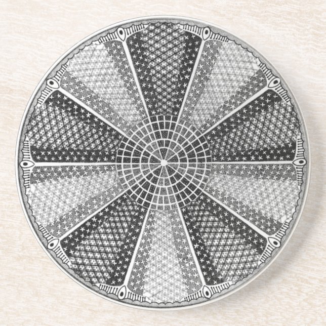 Diatom 13 Ernst Haeckel Fine Art Coaster (Front)